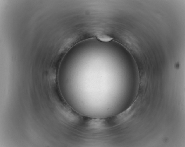 X0000092030179200709061622