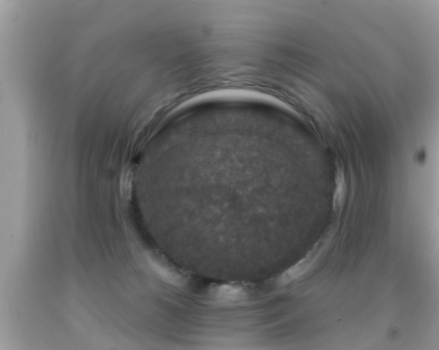 X0000092030180200709061622