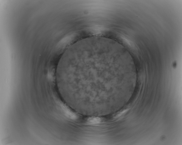 X0000092030181200709061622