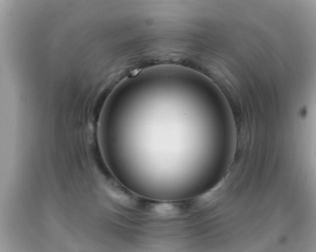 X0000092030183200709061622