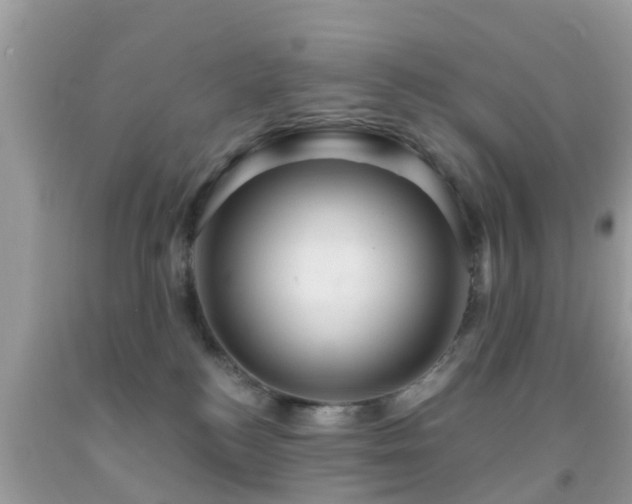 X0000092030184200709061622