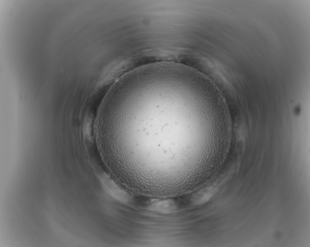 X0000092030185200709061622
