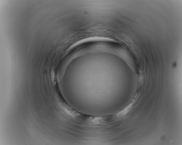 X0000092030186200709061622