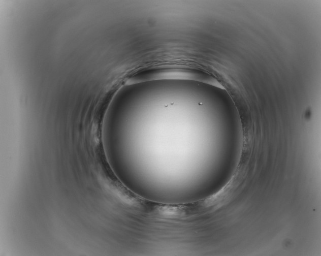 X0000092030187200709061622
