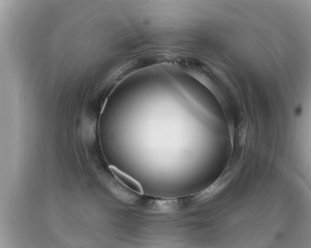 X0000092030188200709061622