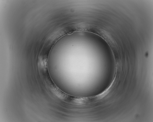 X0000092030190200709061622