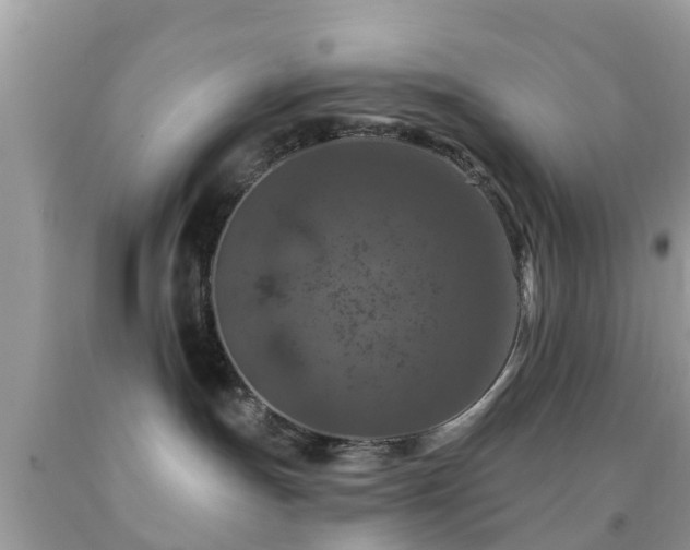 X0000092030191200709061622