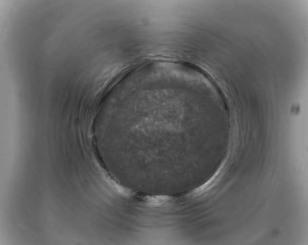 X0000092030192200709061622