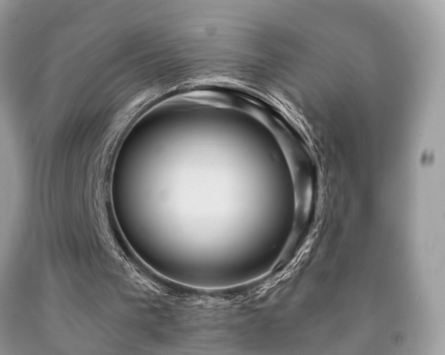 X0000092030193200709061621