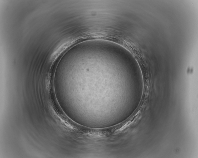 X0000092030194200709061621