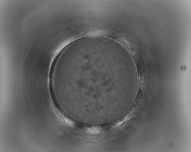 X0000092030196200709061621