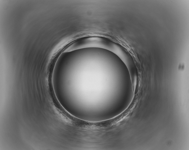 X0000092030197200709061621