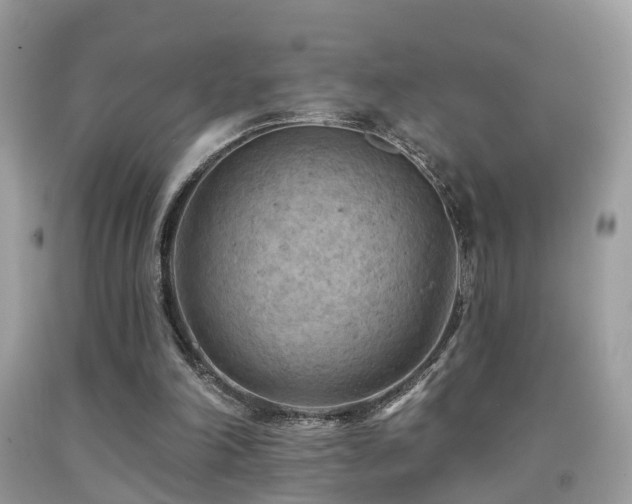X0000092030198200709061621