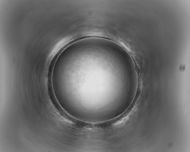X0000092030199200709061621