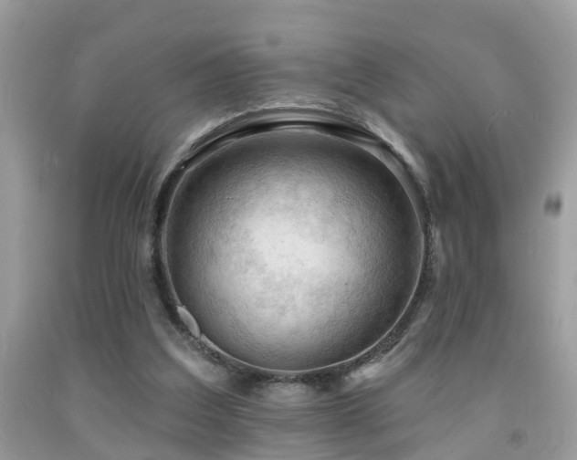 X0000092030203200709061621