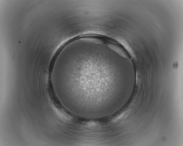 X0000092030204200709061621