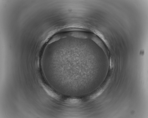 X0000092030205200709061621