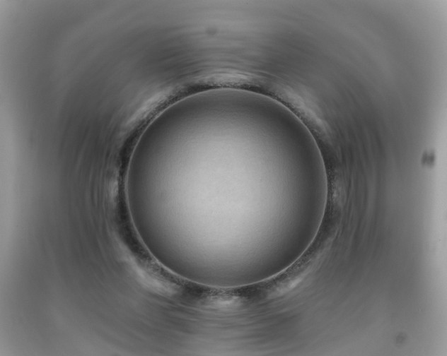 X0000092030206200709061621