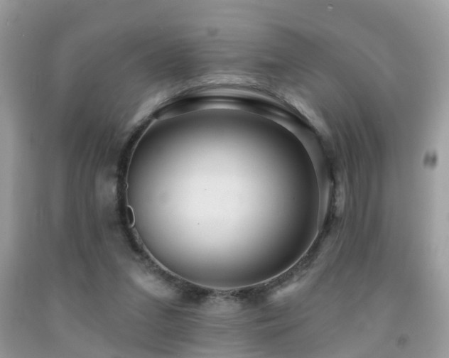 X0000092030207200709061621
