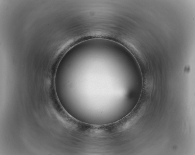 X0000092030208200709061621