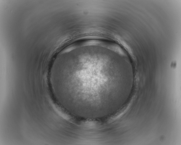 X0000092030209200709061621