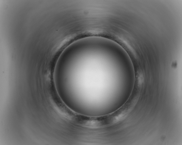X0000092030212200709061621