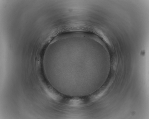 X0000092030213200709061621