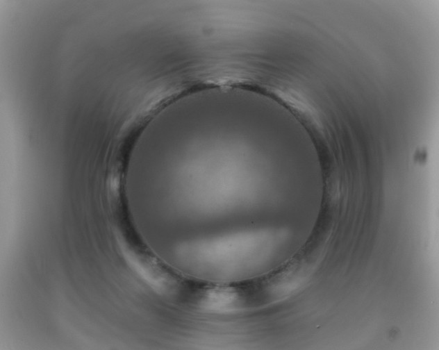 X0000092030214200709061621
