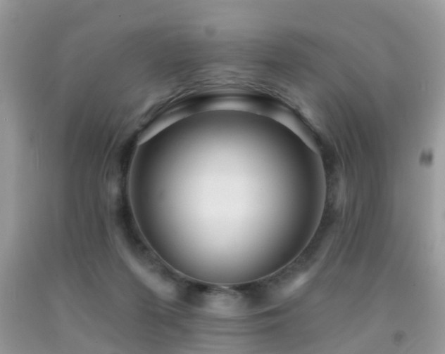 X0000092030215200709061621
