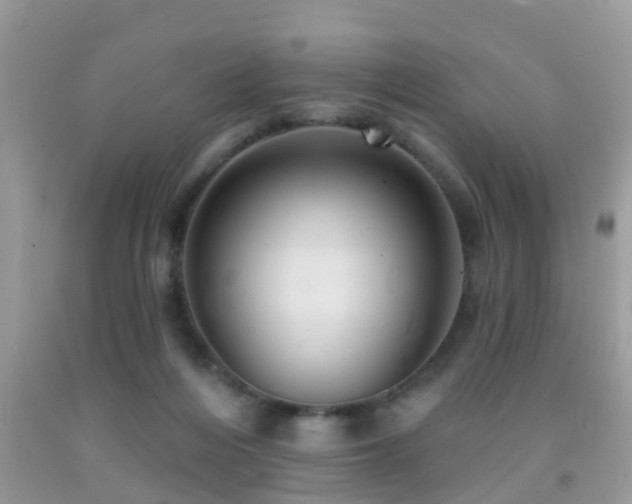 X0000092030216200709061621