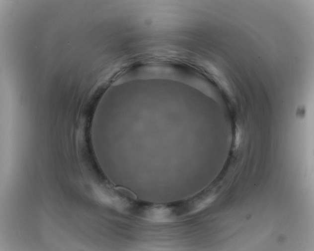 X0000092030217200709061621