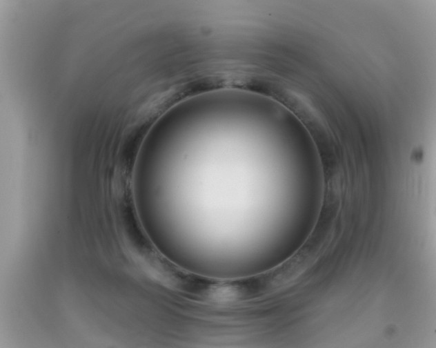 X0000092030218200709061621