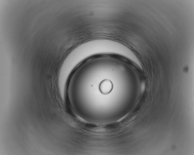 X0000092030219200709061621