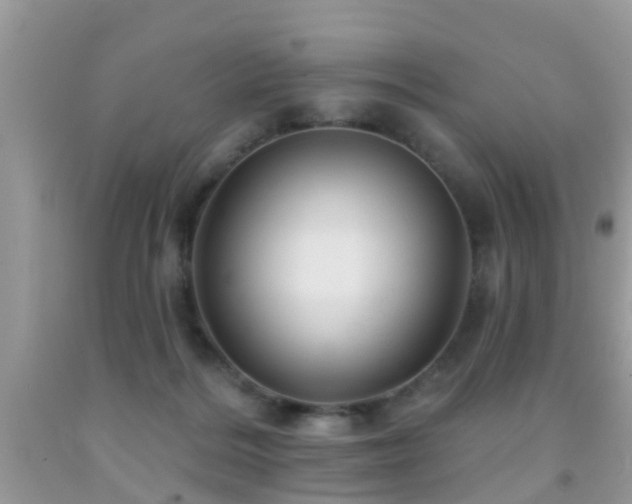 X0000092030220200709061621