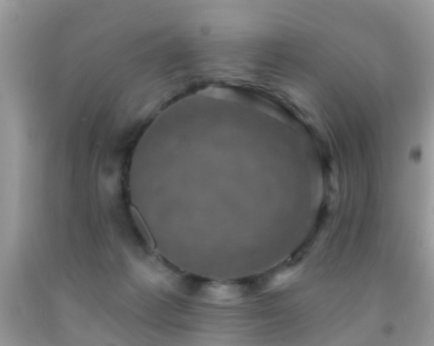 X0000092030221200709061621