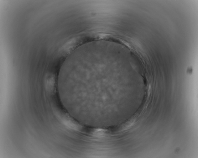X0000092030222200709061621