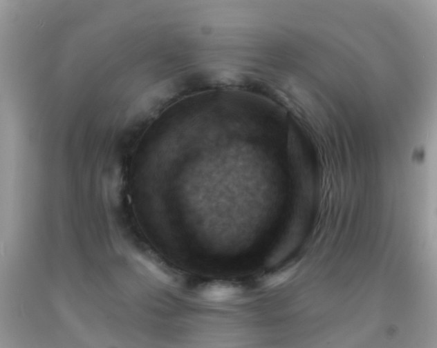 X0000092030223200709061621