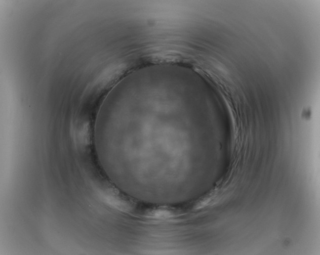 X0000092030224200709061621