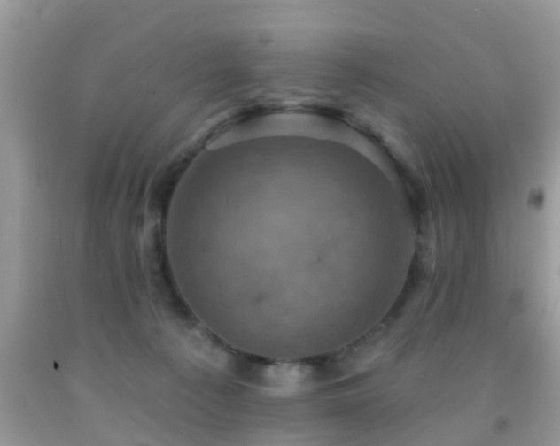 X0000092030225200709061621