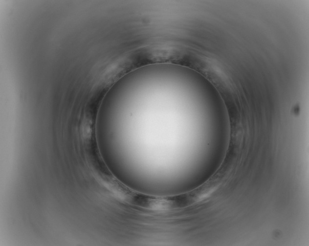 X0000092030226200709061621