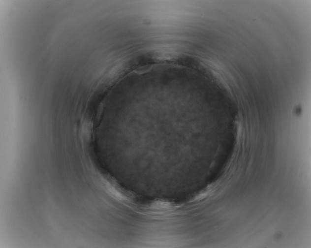 X0000092030227200709061621