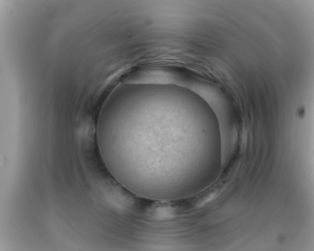 X0000092030228200709061621