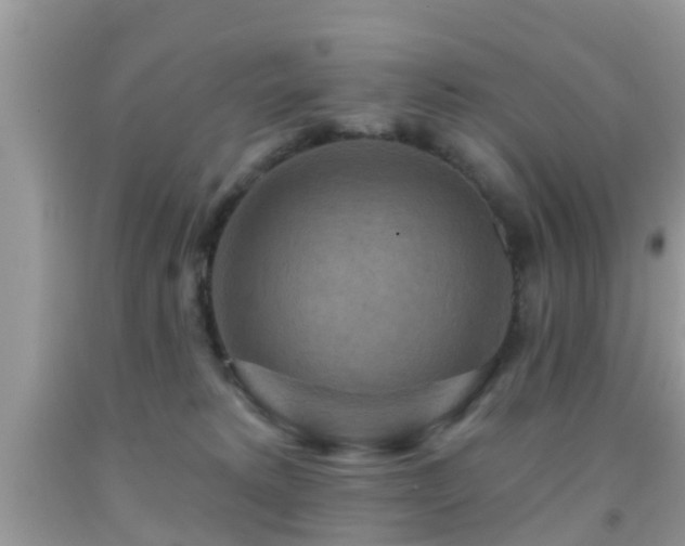 X0000092030229200709061621
