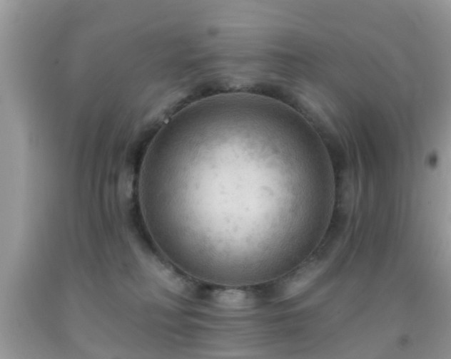 X0000092030230200709061621