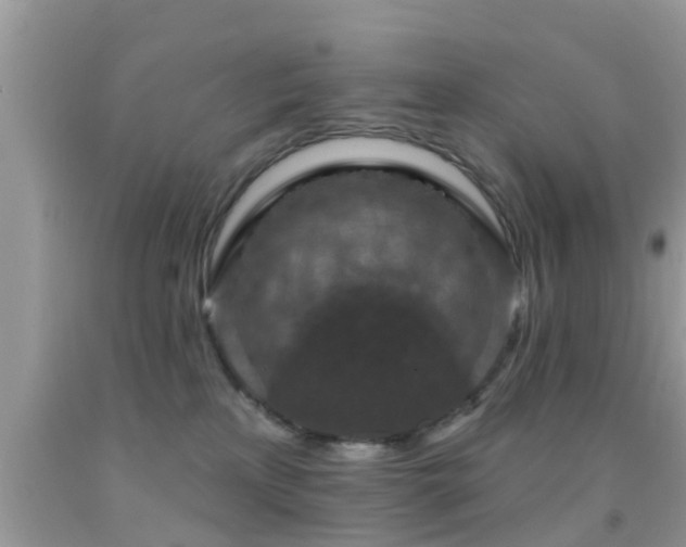 X0000092030233200709061621