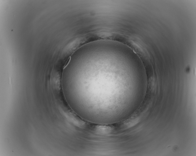 X0000092030234200709061621