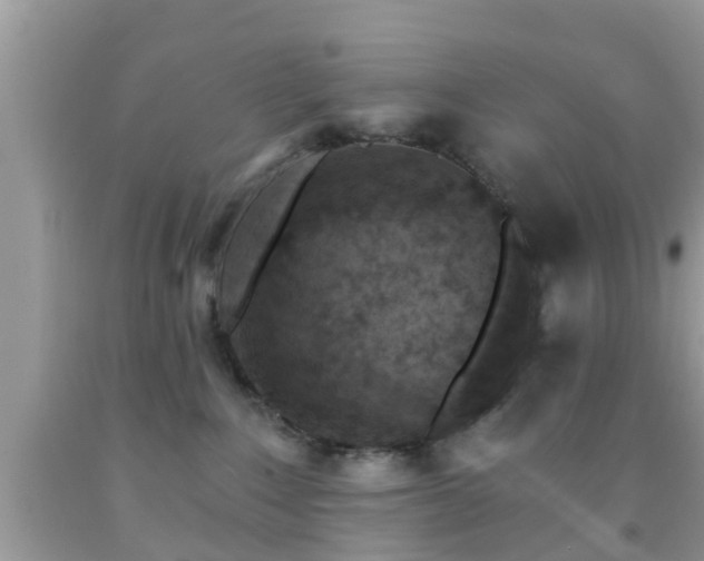 X0000092030235200709061621