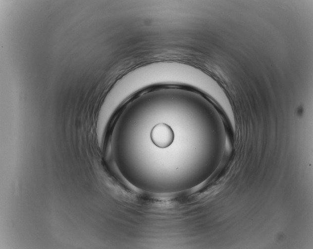X0000092030237200709061621