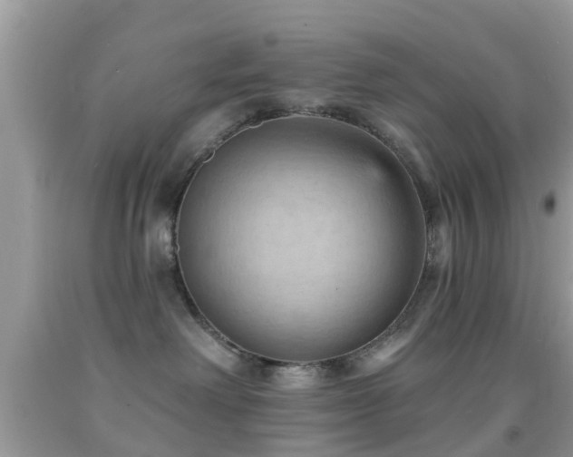 X0000092030238200709061621
