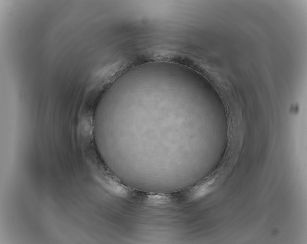 X0000092030240200709061621